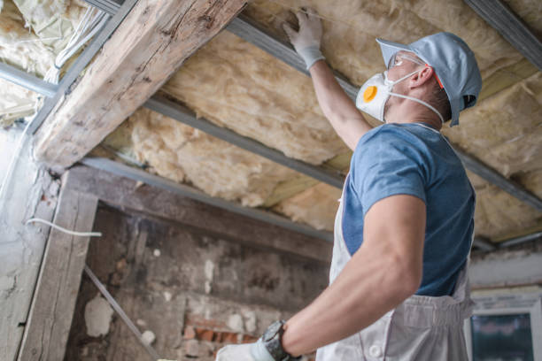 Best Insulation Installation Services in Galesburg, MI