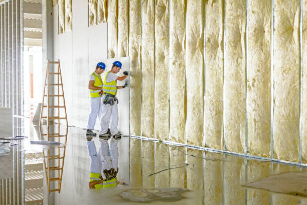 Best Residential Insulation in Galesburg, MI